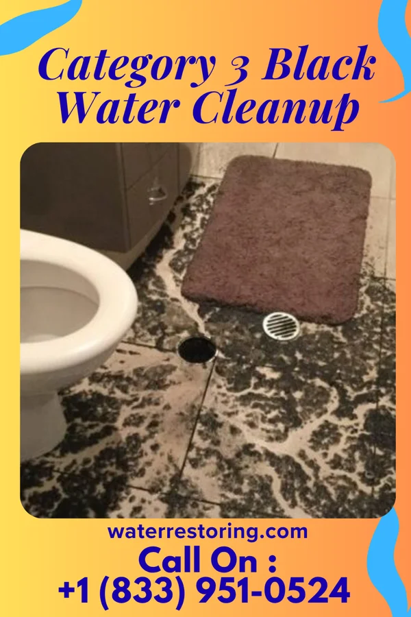 Category 3 Black Water Cleanup in Brookfield, IL