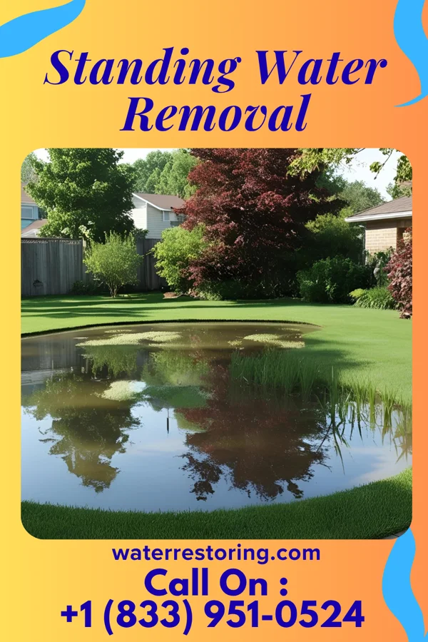 Standing Water Removal in Brookfield, IL